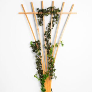 Cedar Wood Fan Trellis